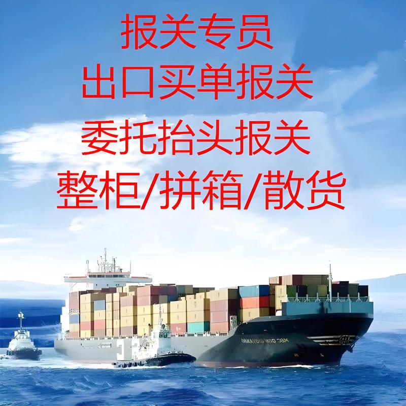 深圳进出口公司的行业动态分析与未来展望